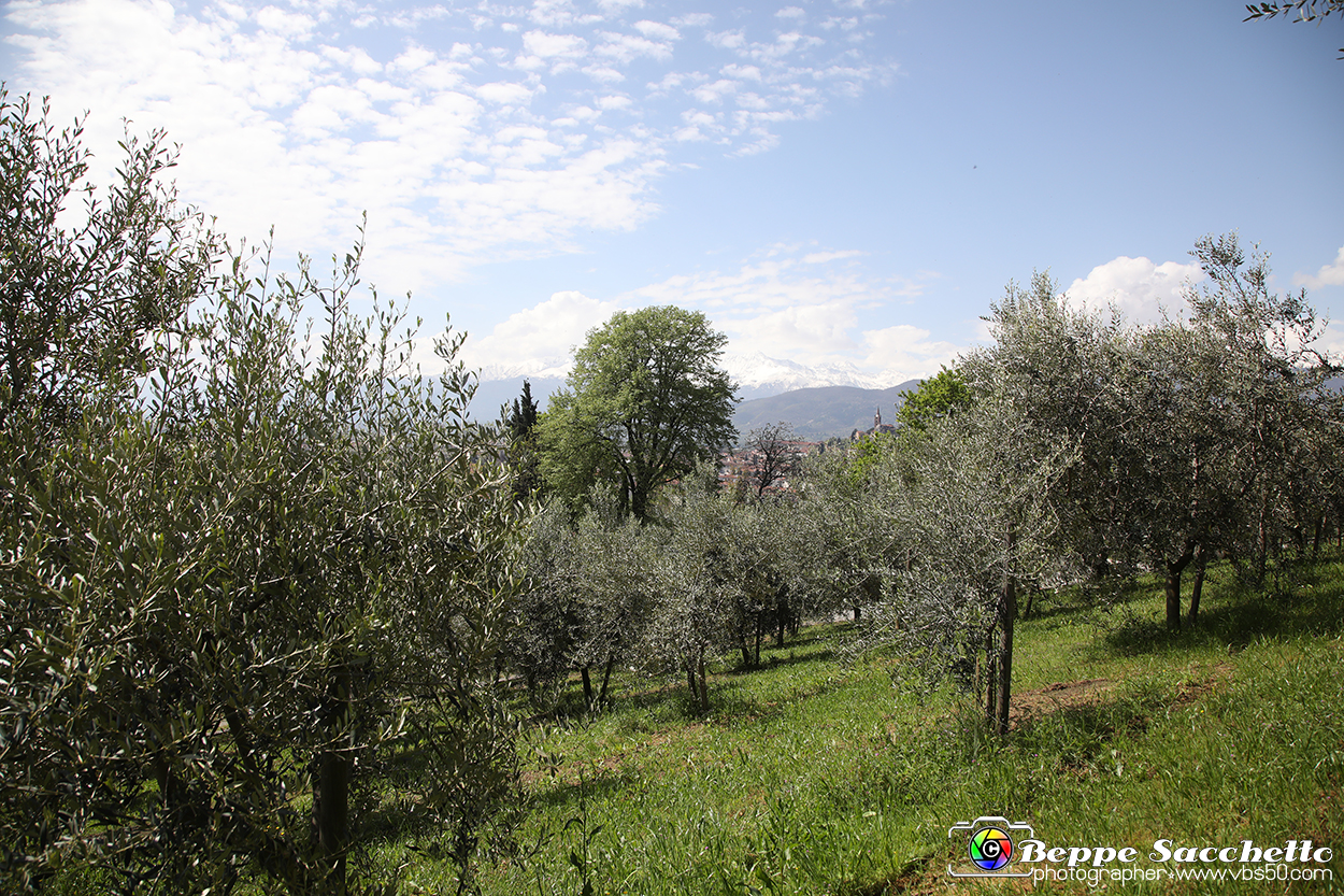 VBS_7282 - PressTour educational dedicato ai vini del Pinerolese e all’olio prodotto sulla collina di Pinerolo.jpg